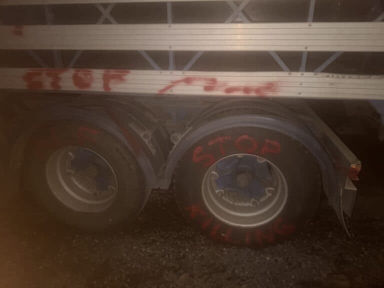 Livestock carrier organisations condemn illegal activism